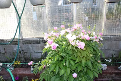 1339 Tom Lake Road, Hovland, MN 55606 - Photo 136