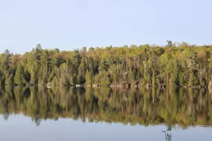 1339 Tom Lake Rd, Hovland, MN 55606 - Photo 20