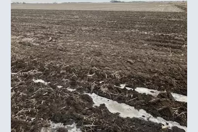 Xxx 240th Street, Austin, MN 55912 - Photo 2