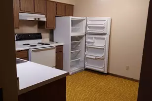 150 Wayne St, Maynard, MN 56260 - Photo 4