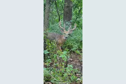 Xxx Hwy. 52, Fountain, MN 55935 - Photo 4