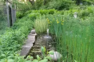 5338 Highland Rd, Minnetonka, MN 55345 - Photo 18