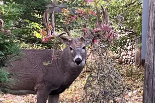 5338 Highland Rd, Minnetonka, MN 55345 - Photo 20