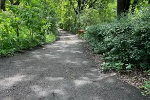 5338 Highland Rd, Minnetonka, MN 55345 - Photo 6