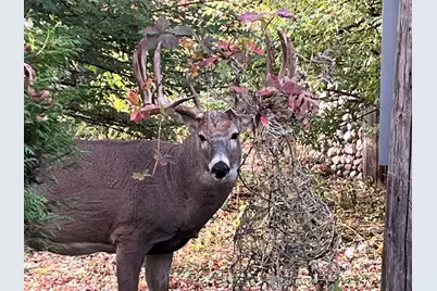 5338 Highland Road, Minnetonka, MN 55345 - Photo 20
