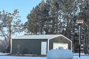 29533 505th Ave, Henning, MN 56551 - Photo 22