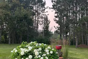 29533 505th Ave, Henning, MN 56551 - Photo 40