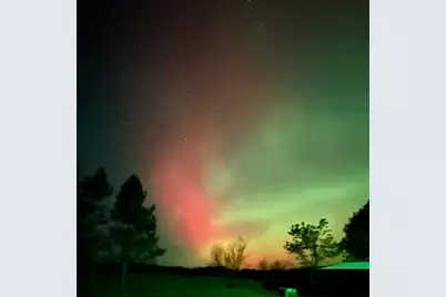 29533 505th Avenue, Henning, MN 56551 - Photo 32