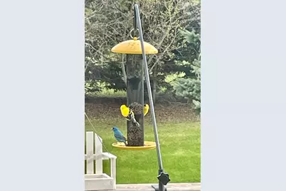 29533 505th Avenue, Henning, MN 56551 - Photo 38