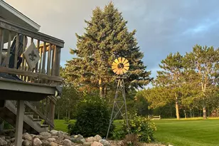 29533 505th Ave, Henning, MN 56551 - Photo 28