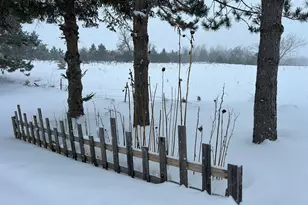 29533 505th Ave, Henning, MN 56551 - Photo 44