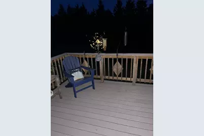 29533 505th Avenue, Henning, MN 56551 - Photo 32