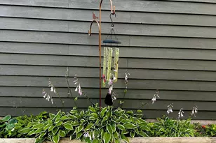 29533 505th Ave, Henning, MN 56551 - Photo 38