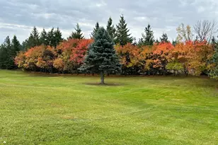 29533 505th Ave, Henning, MN 56551 - Photo 42