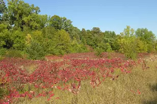 6948 Raven Ct, Eden Prairie, MN 55346 - Photo 36