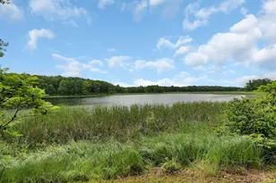 38071 248th St, Hillman, MN 56338 - Photo 96