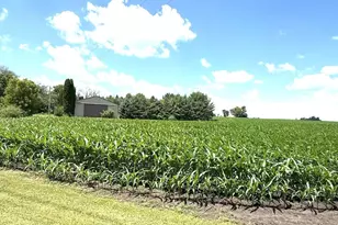 11365 Platt Ave SW, Cokato, MN 55321 - Photo 28