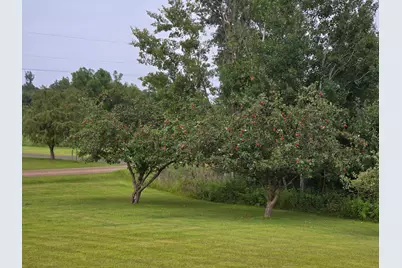 5060 277th Avenue NE, Isanti, MN 55040 - Photo 4