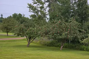 5060 277th Ave NE, Isanti, MN 55040 - Photo 4