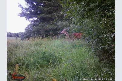 41912 205th Avenue, Le Center, MN 56057 - Photo 54