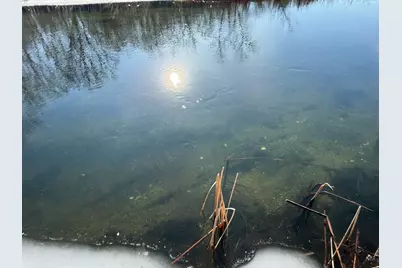 23847 Arcade Loop, Menahga, MN 56464 - Photo 32