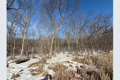 23847 Arcade Loop, Menahga, MN 56464 - Photo 36