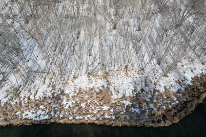 23847 Arcade Loop, Menahga, MN 56464 - Photo 18