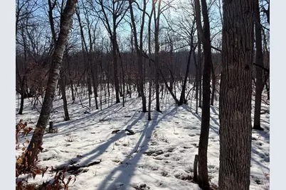 23847 Arcade Loop, Menahga, MN 56464 - Photo 40