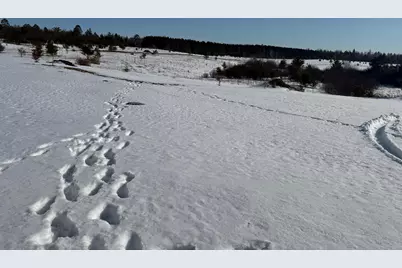 220 Swenson Road SE, Bemidji, MN 56601 - Photo 30