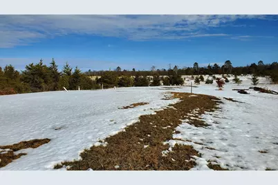 220 Swenson Road SE, Bemidji, MN 56601 - Photo 12