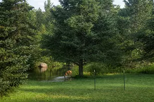 35638 678th St, Hill City, MN 55748 - Photo 8