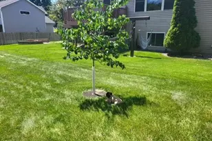 10029 Dogwood St NW, Coon Rapids, MN 55448 - Photo 54