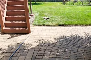 10029 Dogwood St NW, Coon Rapids, MN 55448 - Photo 48