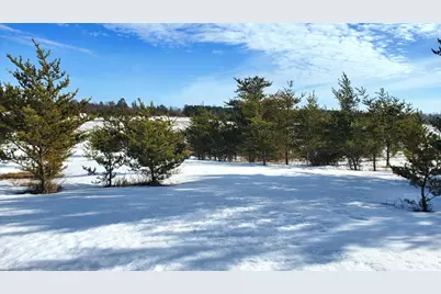 Tbd Cattail Lane E, Bemidji, MN 56601 - Photo 1