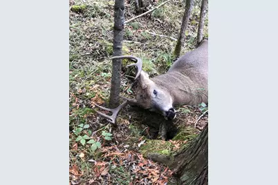 Tbd Saralampi Road, Toivola, MN 55765 - Photo 22