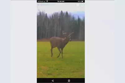 Tbd Saralampi Road, Toivola, MN 55765 - Photo 18