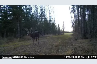 Tbd Saralampi Road, Toivola, MN 55765 - Photo 14