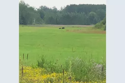 Tbd Saralampi Road, Toivola, MN 55765 - Photo 20