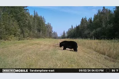 9166 Saralampi Road, Toivola, MN 55765 - Photo 24