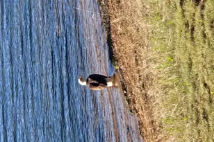 7420 Southshore Dr, Siren, WI 54872 - Photo 58