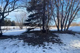 410 Acacia Way, Stanchfield, MN 55080 - Photo 40