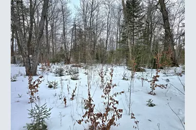 4988 32nd Avenue NE, Remer, MN 56672 - Photo 2