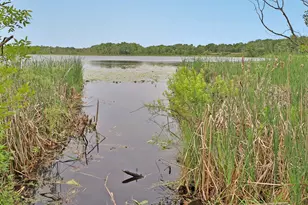 24005 Co Rd 111, Aitkin, MN 56431 - Photo 40