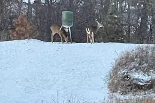 4852 Bennett St SE, Prior Lake, MN 55372 - Photo 46