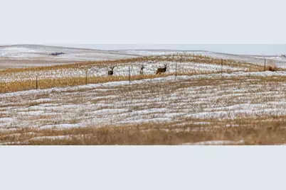 Tbd 49 St SW 212A, Hebron, ND 58638 - Photo 26