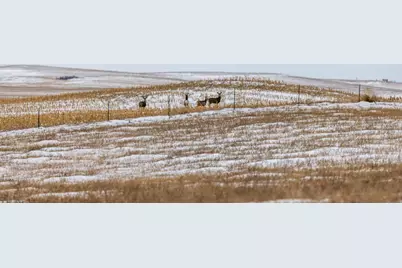 Tbd 49 St SW 212A, Hebron, ND 58638 - Photo 24