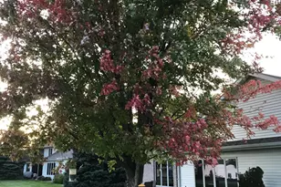 1960 Long Bridge Rd, Detroit Lakes, MN 56501 - Photo 6