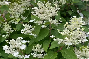 1960 Long Bridge Rd, Detroit Lakes, MN 56501 - Photo 54