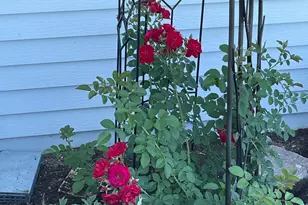 1960 Long Bridge Rd, Detroit Lakes, MN 56501 - Photo 48