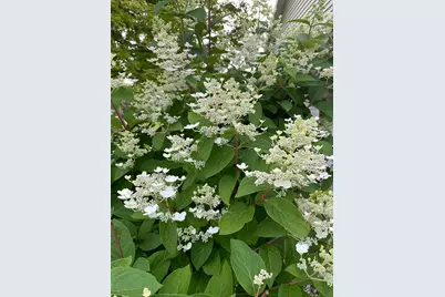 1960 Long Bridge Road, Detroit Lakes, MN 56501 - Photo 54